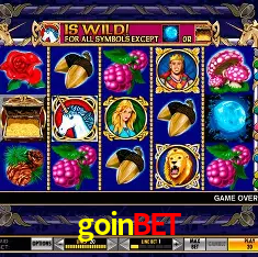 goinbet Salvador - Bonus Stats